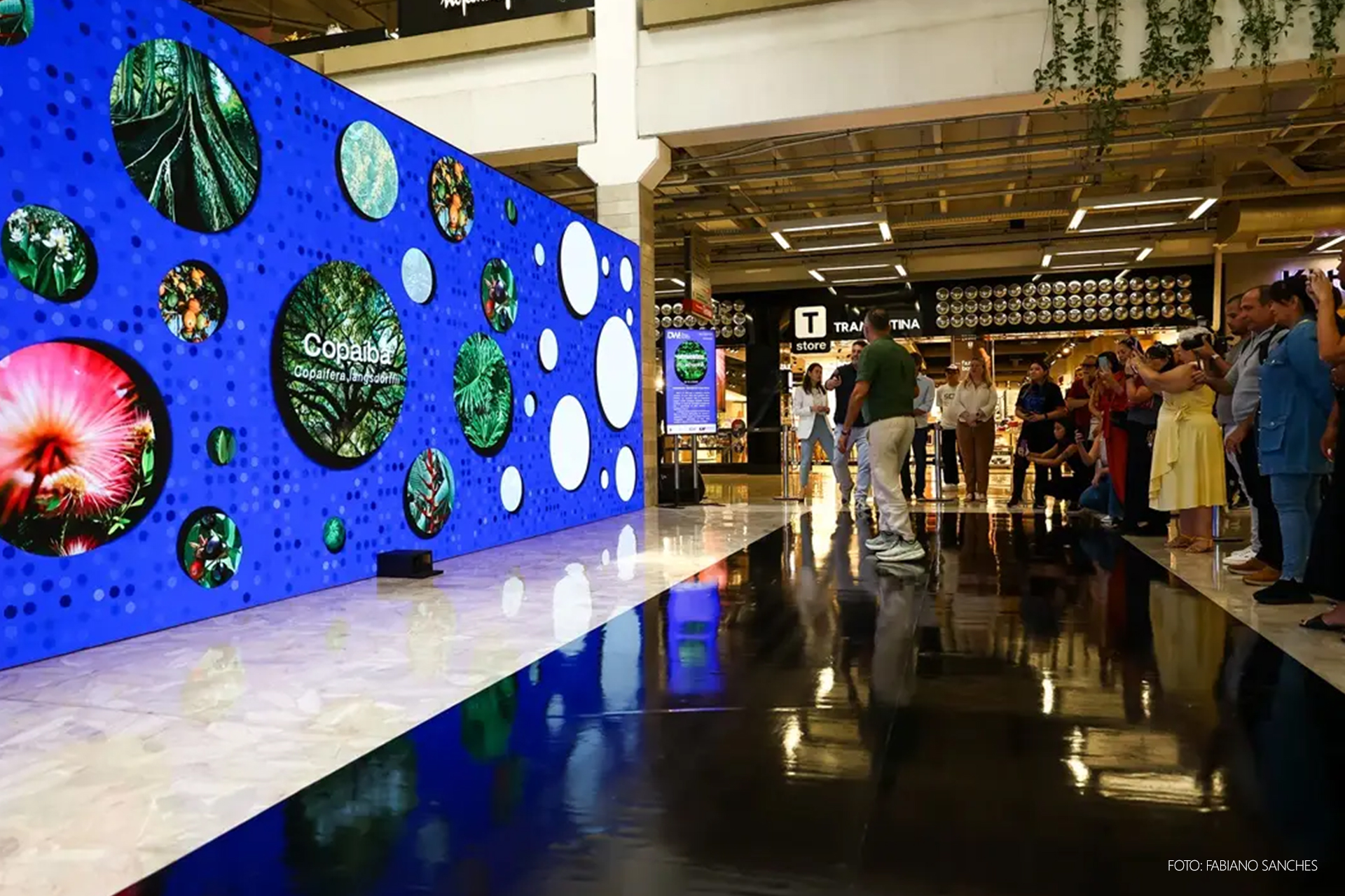 Capa da Publicação